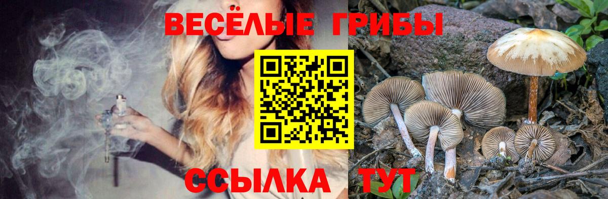 Псилоцибиновые грибы Cubensis  Вход с VPN  Великий Устюг 